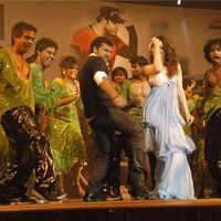 Jr NTR's Oosaravelli Audio Launch Gallery | Picture 77303